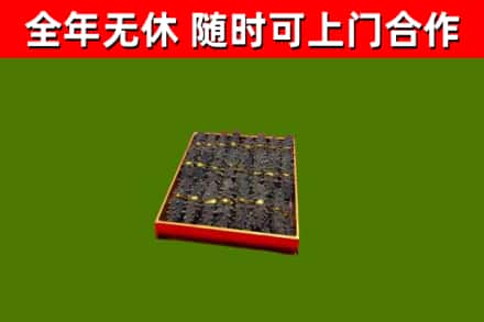 尧都区回收海参